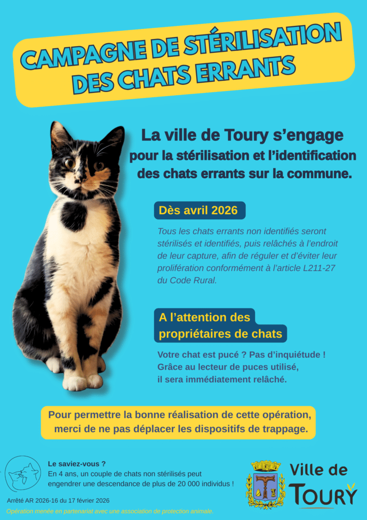 Campagne de stérilisation des chats errants