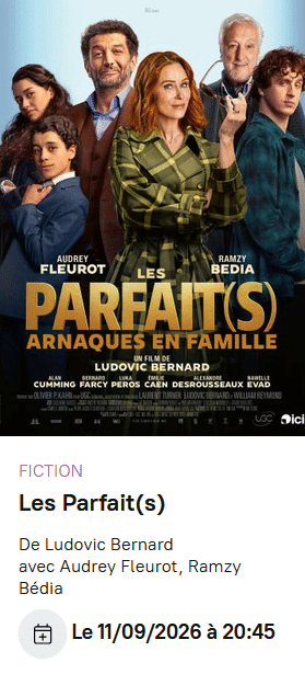 Affiche du film Les parfait(s) - Projection le 11 septembre à 20h45